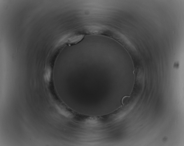 X0000102230076200807251245