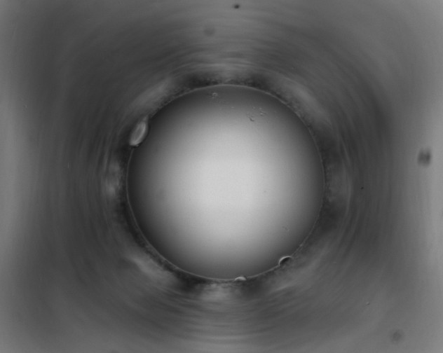 X0000102230077200807251245