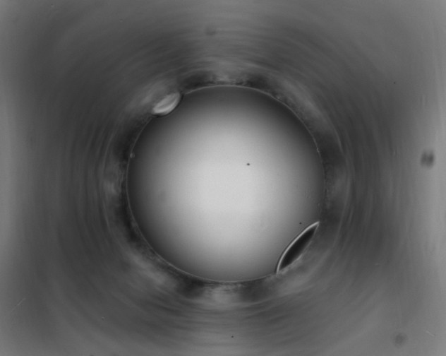 X0000102230078200807251245