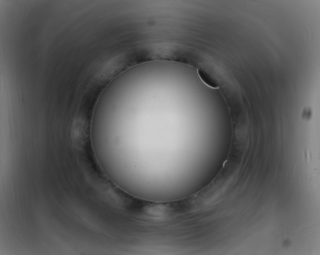 X0000102230079200807251245