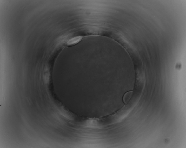 X0000102230080200807251245