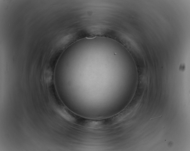 X0000102230081200807251245