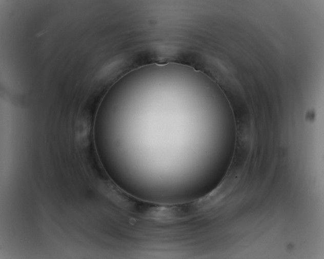 X0000102230082200807251245
