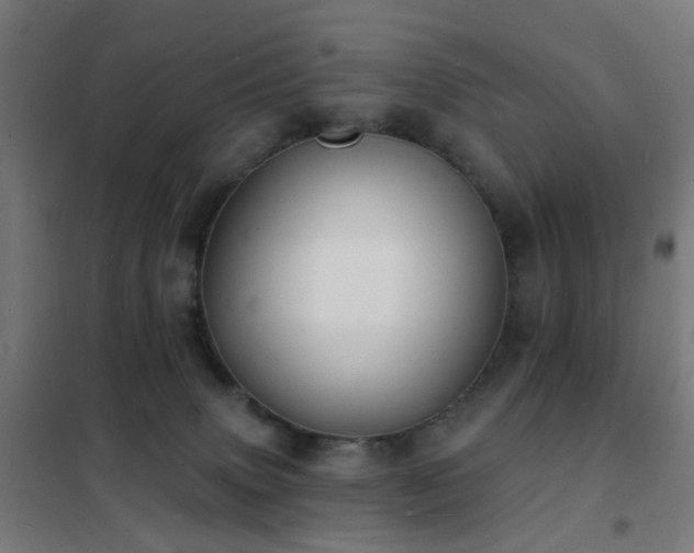 X0000102230083200807251245