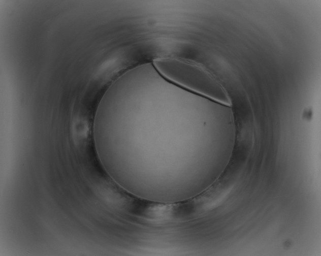X0000102230084200807251245