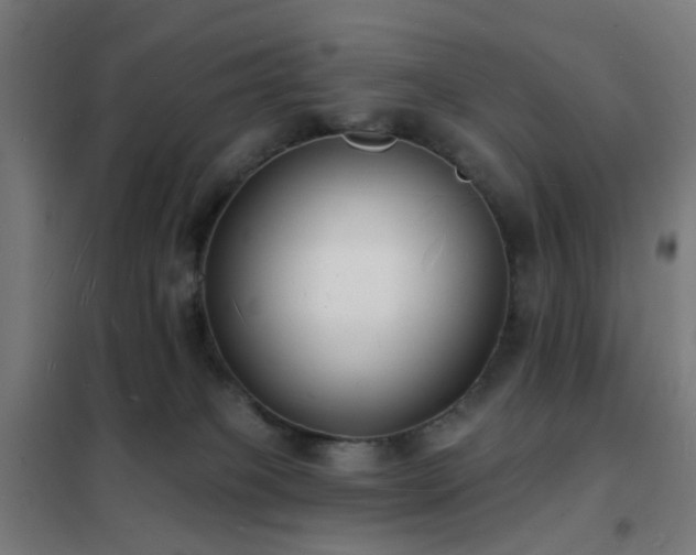 X0000102230085200807251245
