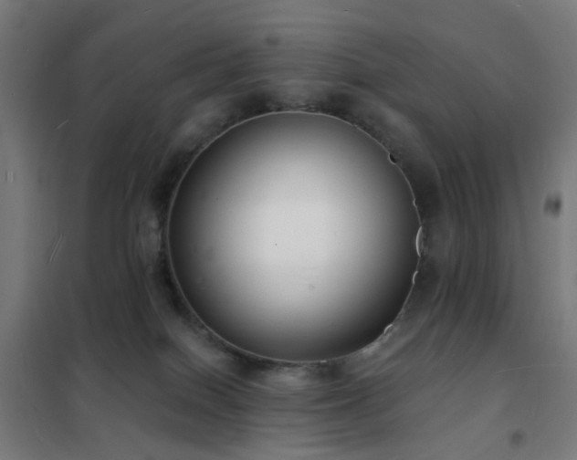 X0000102230086200807251245