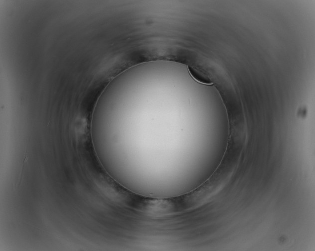 X0000102230087200807251245