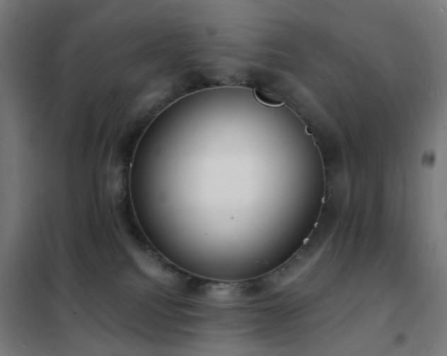 X0000102230088200807251245