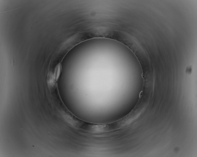 X0000102230089200807251245