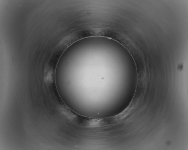 X0000102230090200807251245