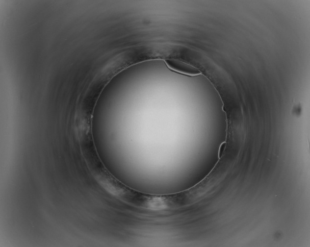 X0000102230091200807251245