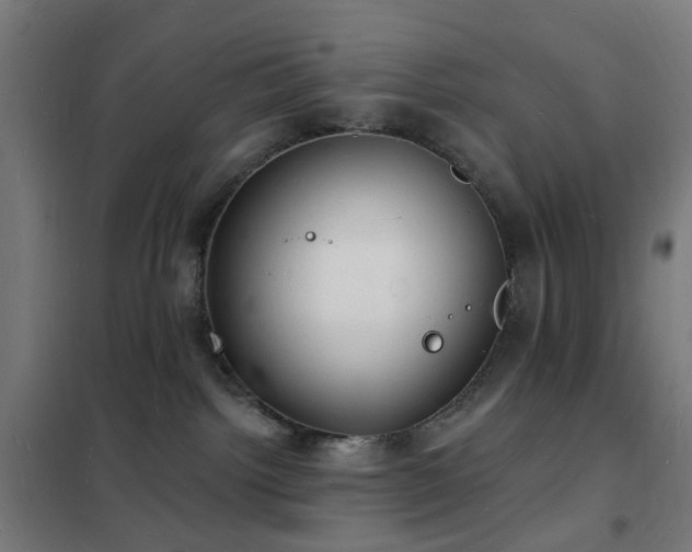 X0000102230092200807251245