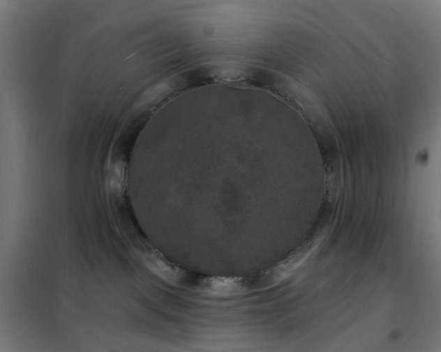X0000102230093200807251245