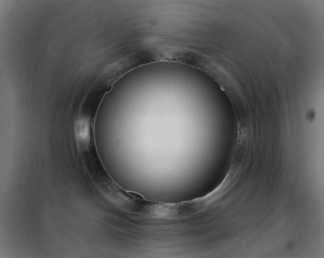 X0000102230094200807251245