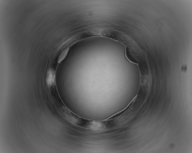 X0000102230095200807251245