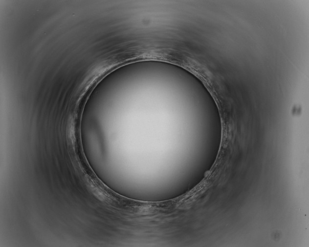 X0000102230098200807251244