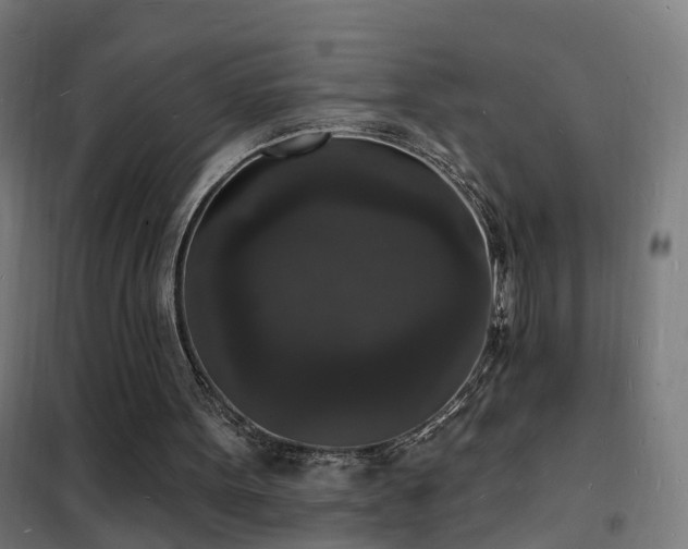 X0000102230099200807251244