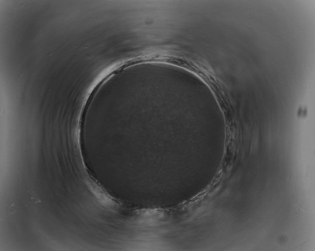 X0000102230100200807251244