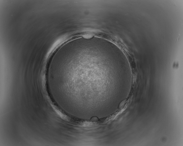 X0000102230101200807251244