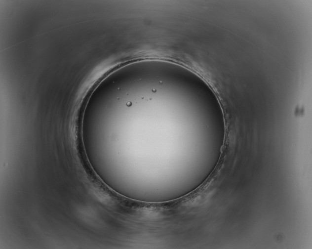 X0000102230103200807251244