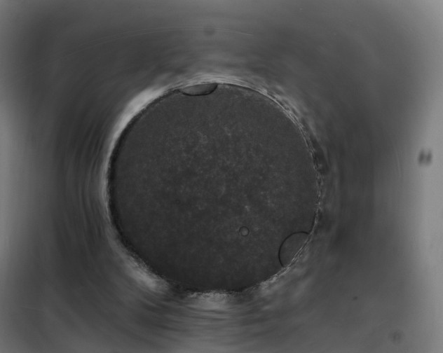 X0000102230104200807251244