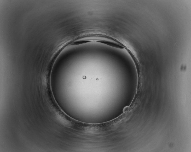 X0000102230105200807251244