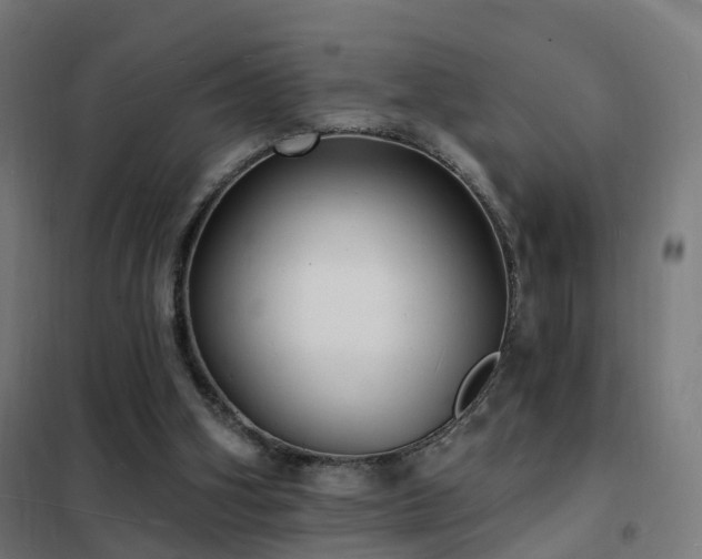 X0000102230106200807251244