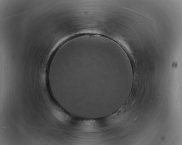 X0000102230108200807251244