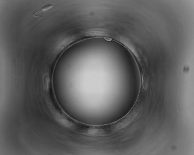 X0000102230109200807251244