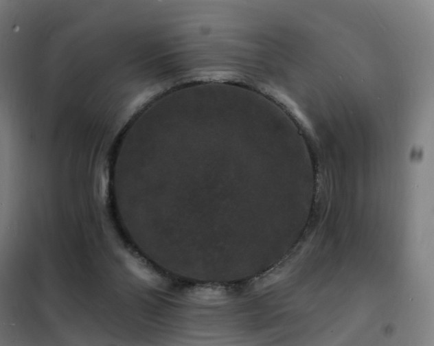 X0000102230110200807251244