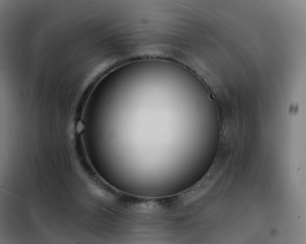 X0000102230112200807251244
