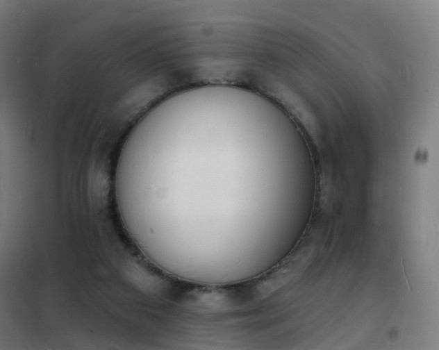 X0000102230113200807251244