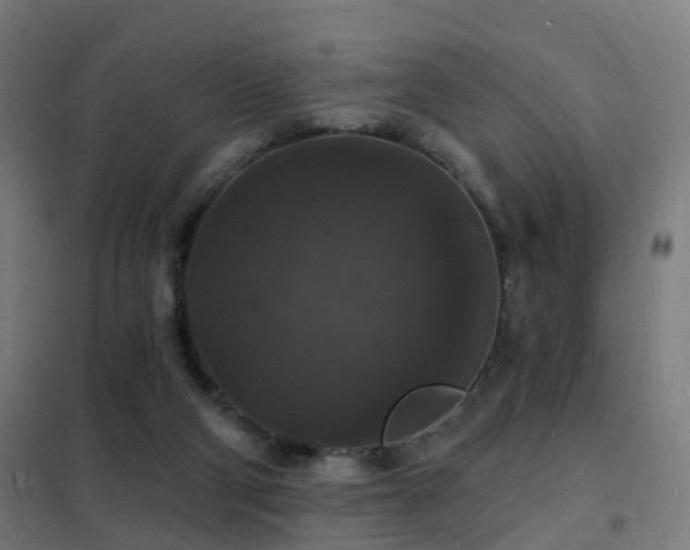 X0000102230114200807251244
