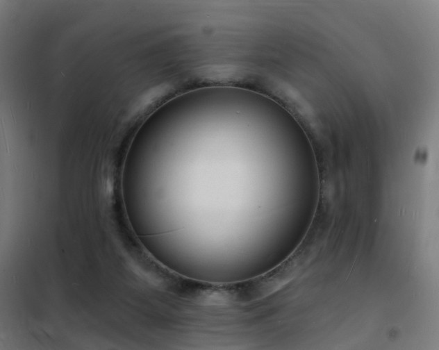 X0000102230115200807251244