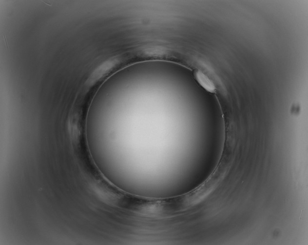 X0000102230116200807251244