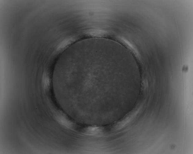 X0000102230117200807251244