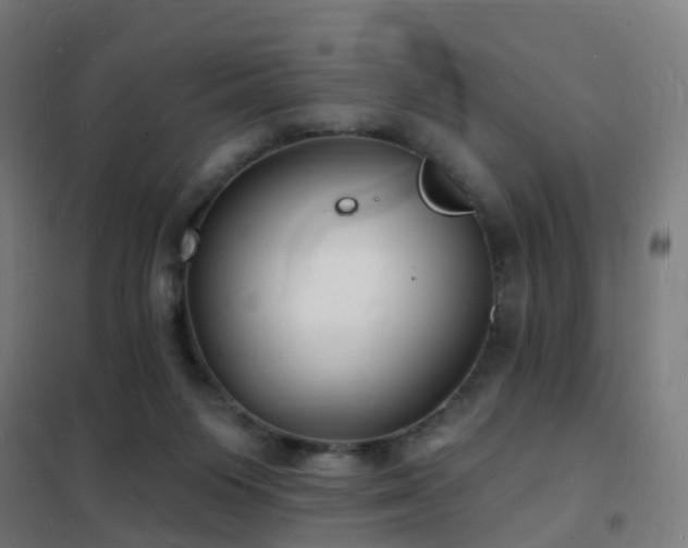 X0000102230119200807251244