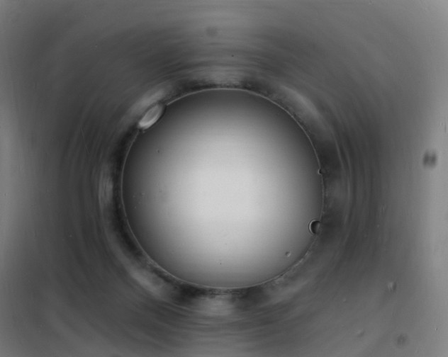X0000102230120200807251244
