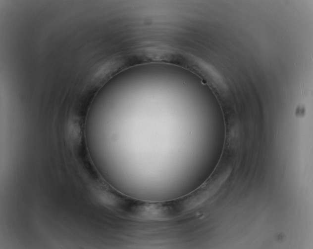 X0000102230121200807251244