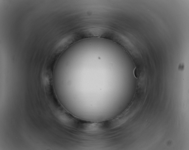 X0000102230122200807251244