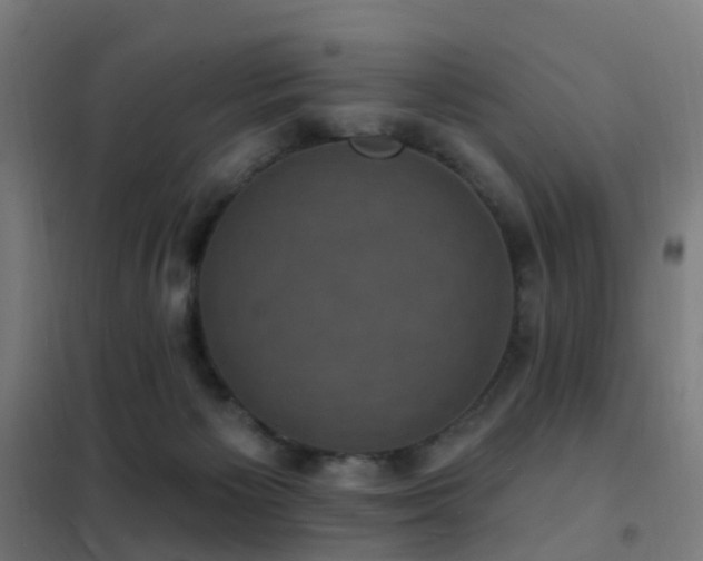 X0000102230125200807251244