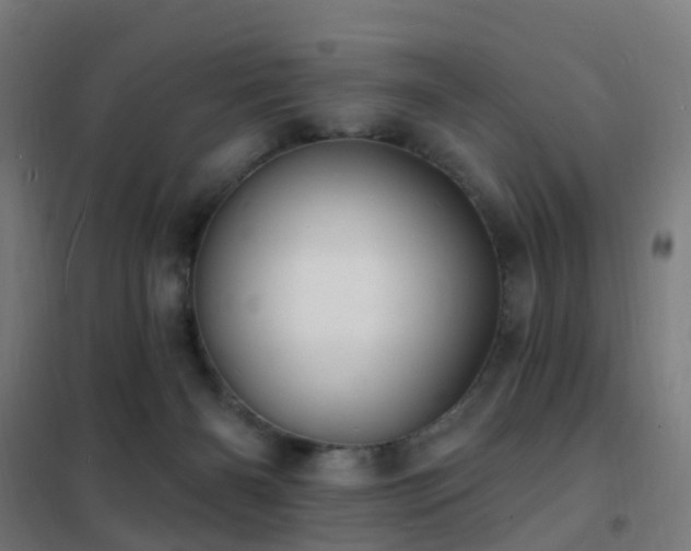 X0000102230126200807251244