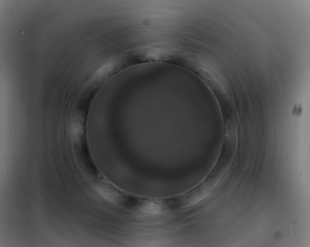 X0000102230127200807251244