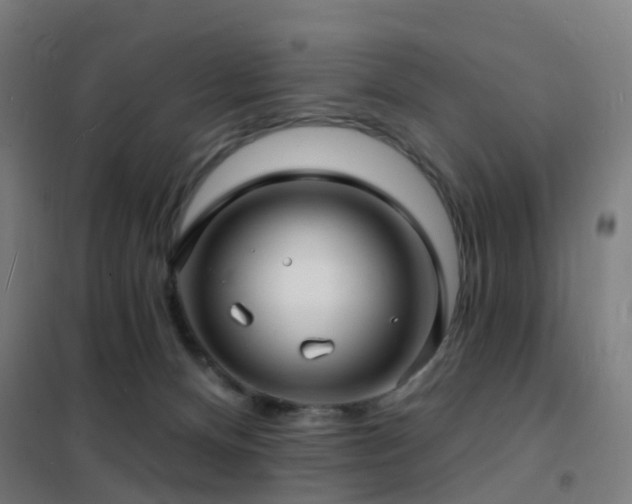 X0000102230128200807251244