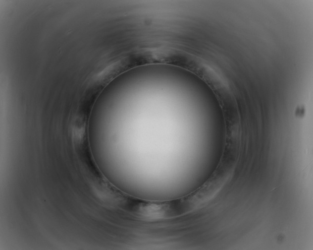 X0000102230129200807251244