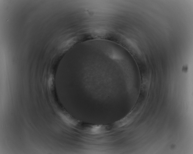 X0000102230130200807251244