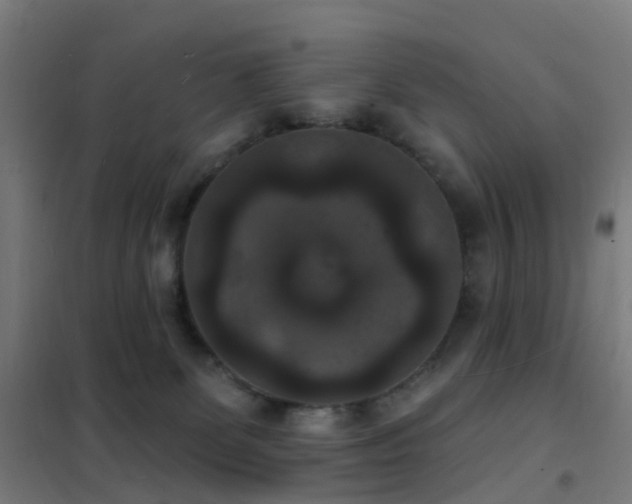 X0000102230131200807251244