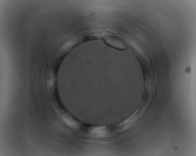 X0000102230132200807251244