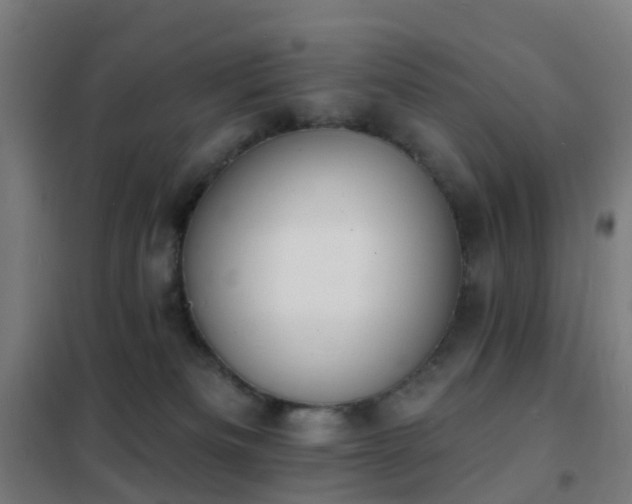 X0000102230133200807251244
